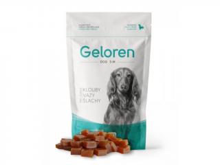 Geloren Dog kĺbová výživa S-M (60ks)