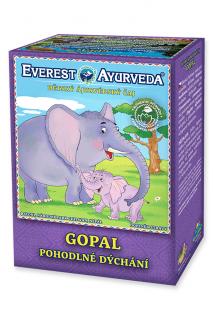 Gopal  Dýchacie cesty - detský ajurvédsky čaj 100 g