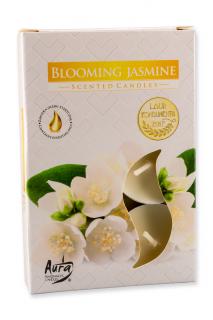 Sviečka čajová  Blooming jasmine