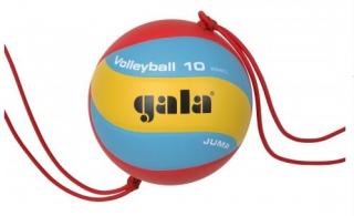 BV5481S Volleyball 10                                                  volejbalová lopta Jump veľkosť lopty: č. 5