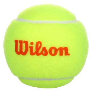 Starter Orange                                                         tenisové lopty, mäkké balenie: 1 ks