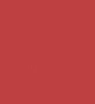 farebný Silikónový obal na Xiaomi Redmi 10C Barva: Červená