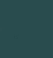 farebný Silikónový obal na Xiaomi Redmi 10C Barva: Tmavě zelená