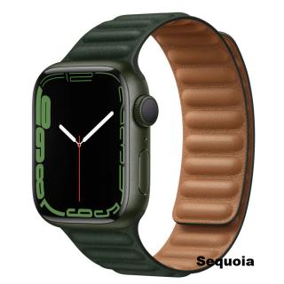 Magnetický Opasok na hodinky Apple Watch 38,40,41 mm možnosti: sequoia