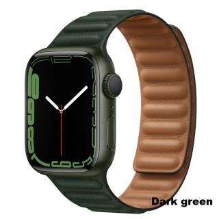 Magnetický Opasok na hodinky Apple Watch 42, 44, 45 mm možnosti: Dark green