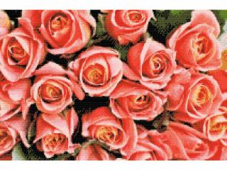 Diamantovanie podľa čísiel - Kytica ruží Veľkosť: 40x60cm, Rám: Bez rámu, iba plátno