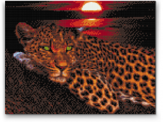 Diamantovanie podľa čísiel - Leopard Veľkosť: 40x50cm, Rám: Bez rámu, iba plátno