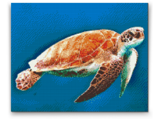 Diamantovanie podľa čísiel - Morská korytnačka Veľkosť: 40x50cm, Rám: S vnútorným rámom
