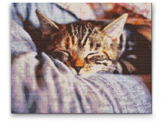 Diamantovanie podľa čísiel - Spiaca mačka Veľkosť: 40x50cm, Rám: S vnútorným rámom
