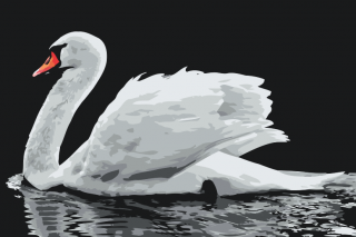 Maľovanie podľa čísiel - Biela labuť Veľkosť: 40x60cm, Rám: Bez rámu, iba plátno