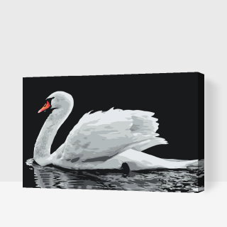 Maľovanie podľa čísiel - Biela labuť Veľkosť: 40x60cm, Rám: S vnútorným rámom