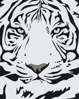 Maľovanie podľa čísiel - Čierno biela hlava tigra Veľkosť: 40x50cm, Rám: Bez rámu, iba plátno