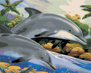 Maľovanie podľa čísiel - Delfíny v mori Veľkosť: 40x50cm, Rám: Bez rámu, iba plátno