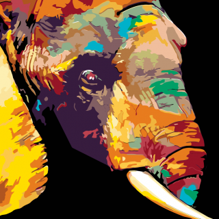 Maľovanie podľa čísiel - Farebný slon Veľkosť: 80x80cm, Rám: Bez rámu, iba plátno