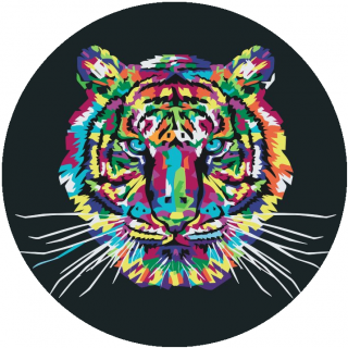Maľovanie podľa čísiel - Farebný tiger Veľkosť: 50x50cm, Rám: S vnútorným rámom