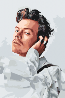 Maľovanie podľa čísiel - Harry Styles 6 Veľkosť: 80x120cm, Rám: Bez rámu, iba plátno