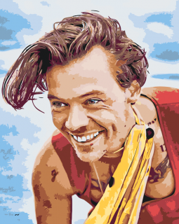 Maľovanie podľa čísiel - Harry Styles15 Veľkosť: 60x80cm, Rám: Bez rámu, iba plátno