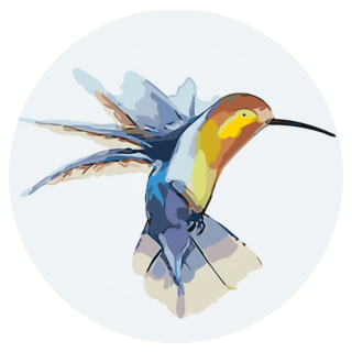 Maľovanie podľa čísiel - Kolibrík Veľkosť: 50x50cm, Rám: S vnútorným rámom