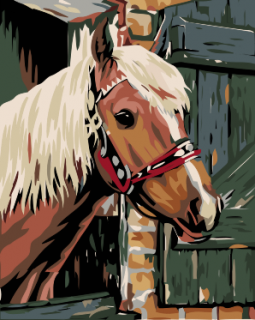 Maľovanie podľa čísiel - Koník v stajni Veľkosť: 60x80cm, Rám: Bez rámu, iba plátno