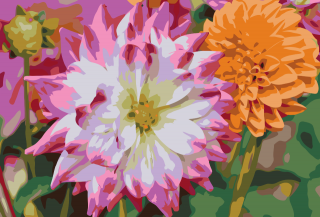 Maľovanie podľa čísiel - Kvet Dahlia Veľkosť: 40x60cm, Rám: Bez rámu, iba plátno
