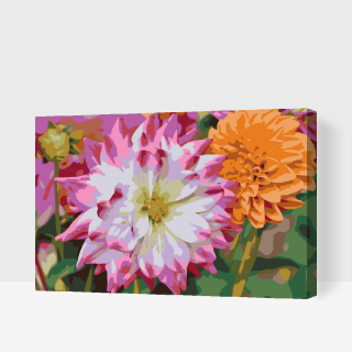 Maľovanie podľa čísiel - Kvet Dahlia Veľkosť: 40x60cm, Rám: S vnútorným rámom