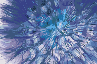 Maľovanie podľa čísiel - Kvet púpavy Veľkosť: 40x60cm, Rám: Bez rámu, iba plátno