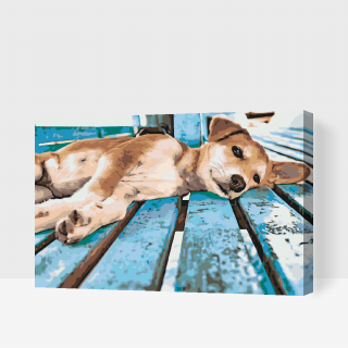 Maľovanie podľa čísiel - Lenivý psík Veľkosť: 60x80cm, Rám: S vnútorným rámom
