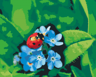 Maľovanie podľa čísiel - Lienka na modrých kvetinách Veľkosť: 40x50cm, Rám: Bez rámu, iba plátno