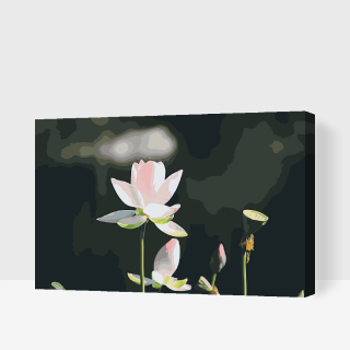 Maľovanie podľa čísiel - Lotosový kvet Veľkosť: 40x60cm, Rám: S vnútorným rámom