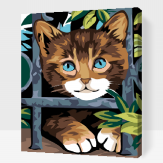 Maľovanie podľa čísiel - Mačiatko za plotom Veľkosť: 40x50cm, Rám: S vnútorným rámom
