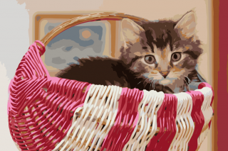 Maľovanie podľa čísiel - Mačička v košíku Veľkosť: 60x80cm, Rám: Bez rámu, iba plátno