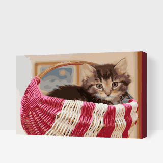 Maľovanie podľa čísiel - Mačička v košíku Veľkosť: 60x80cm, Rám: S vnútorným rámom