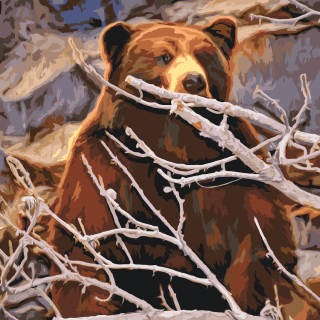Maľovanie podľa čísiel - Medveď číhajúci na korisť Veľkosť: 50x50cm, Rám: Bez rámu, iba plátno