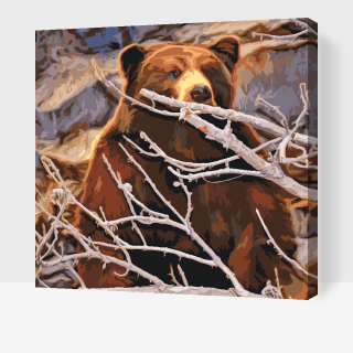 Maľovanie podľa čísiel - Medveď číhajúci na korisť Veľkosť: 50x50cm, Rám: S vnútorným rámom