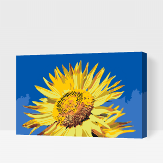 Maľovanie podľa čísiel - Modrá obloha a slnečnica Veľkosť: 40x60cm, Rám: S vnútorným rámom