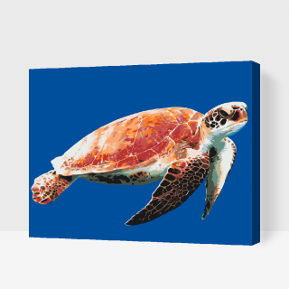 Maľovanie podľa čísiel - Morská korytnačka Veľkosť: 60x80cm, Rám: S vnútorným rámom