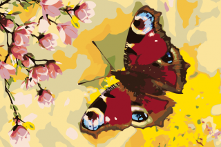 Maľovanie podľa čísiel - Motýlik, Babôčka pávie oko Veľkosť: 60x80cm, Rám: Bez rámu, iba plátno