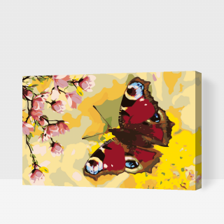 Maľovanie podľa čísiel - Motýlik, Babôčka pávie oko Veľkosť: 60x80cm, Rám: S vnútorným rámom