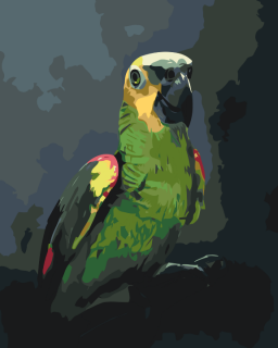Maľovanie podľa čísiel - Papagáj Amazoňan Veľkosť: 40x50cm, Rám: Bez rámu, iba plátno