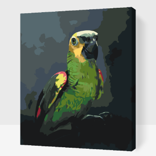 Maľovanie podľa čísiel - Papagáj Amazoňan Veľkosť: 40x50cm, Rám: S vnútorným rámom