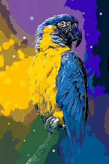 Maľovanie podľa čísiel - Papagáj Veľkosť: 60x80cm, Rám: Bez rámu, iba plátno