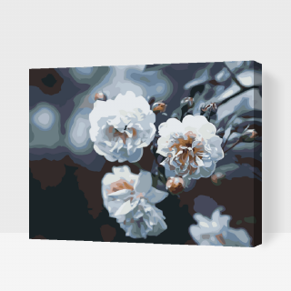 Maľovanie podľa čísiel - Rozkvitnuté biele ruže Veľkosť: 60x80cm, Rám: S vnútorným rámom