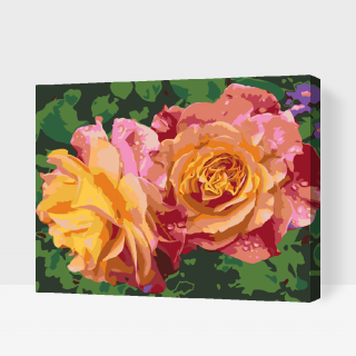 Maľovanie podľa čísiel - Ruže, kvety krásy Veľkosť: 40x50cm, Rám: S vnútorným rámom