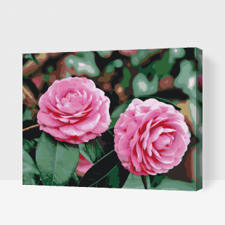 Maľovanie podľa čísiel - Ružové kamélie Veľkosť: 40x50cm, Rám: S vnútorným rámom