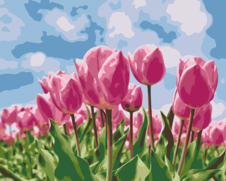 Maľovanie podľa čísiel - Ružové tulipány Veľkosť: 60x80cm, Rám: Bez rámu, iba plátno