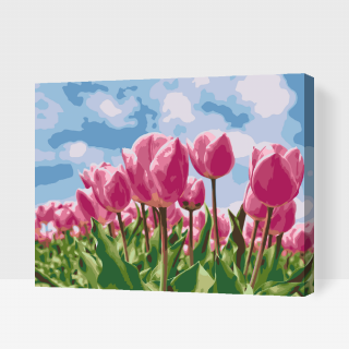 Maľovanie podľa čísiel - Ružové tulipány Veľkosť: 60x80cm, Rám: S vnútorným rámom