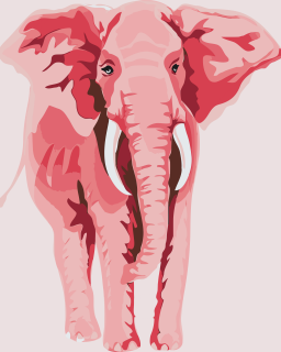 Maľovanie podľa čísiel - Ružový slon Veľkosť: 40x50cm, Rám: Bez rámu, iba plátno