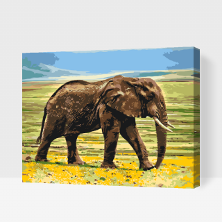Maľovanie podľa čísiel - Safari - slon Veľkosť: 80x100cm, Rám: S vnútorným rámom