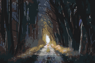 Maľovanie podľa čísiel - Temný les Veľkosť: 40x60cm, Rám: Bez rámu, iba plátno