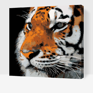 Maľovanie podľa čísiel - Tiger Veľkosť: 80x80cm, Rám: S vnútorným rámom